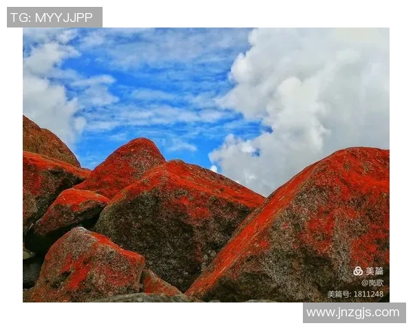探索阿拉巴的魅力与文化深度体验独特的风土人情与自然景观